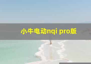 小牛电动nqi pro版